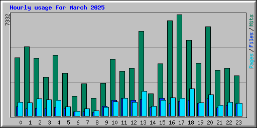 Hourly usage for March 2025
